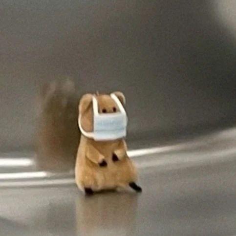 全熟奶酪🫧