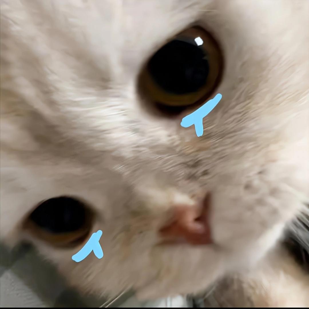 小糊涂