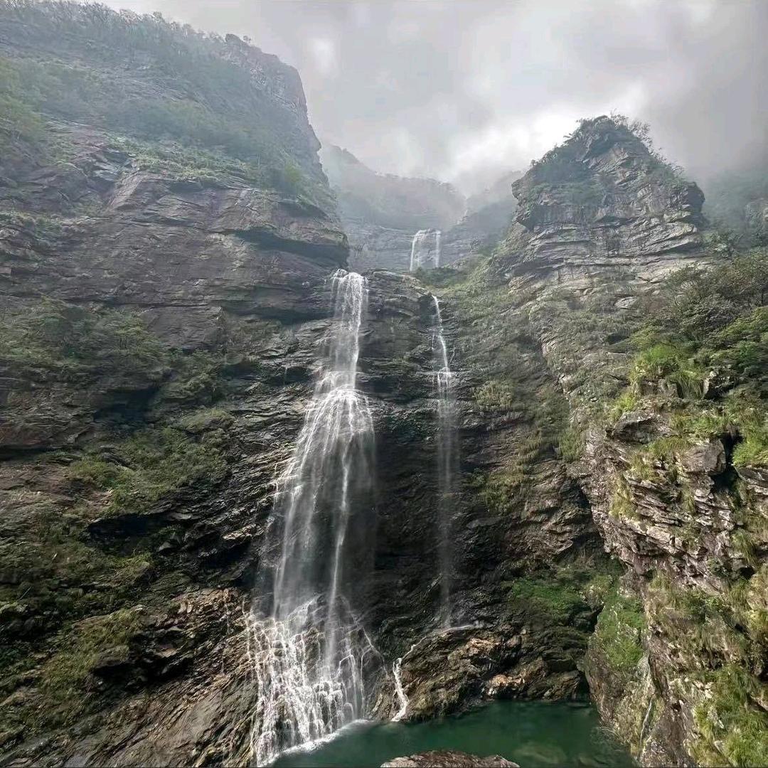 富贵儿