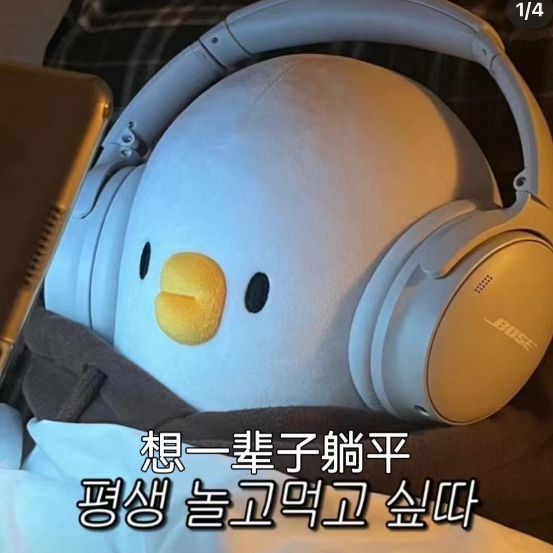 爽阿爽君