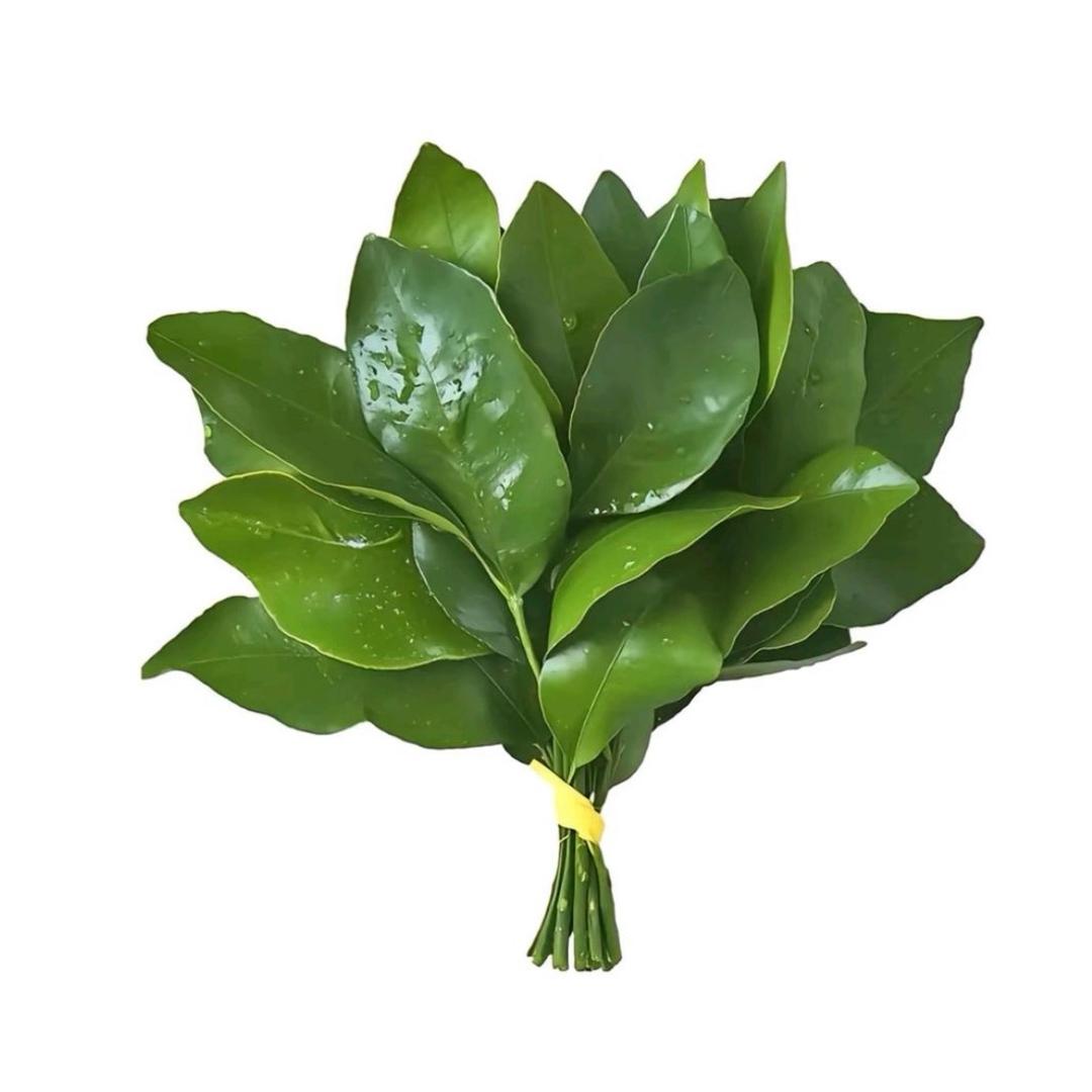 梦游