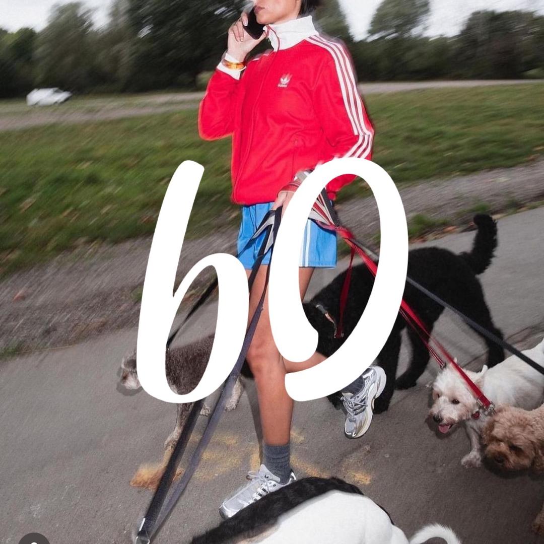 来自b0