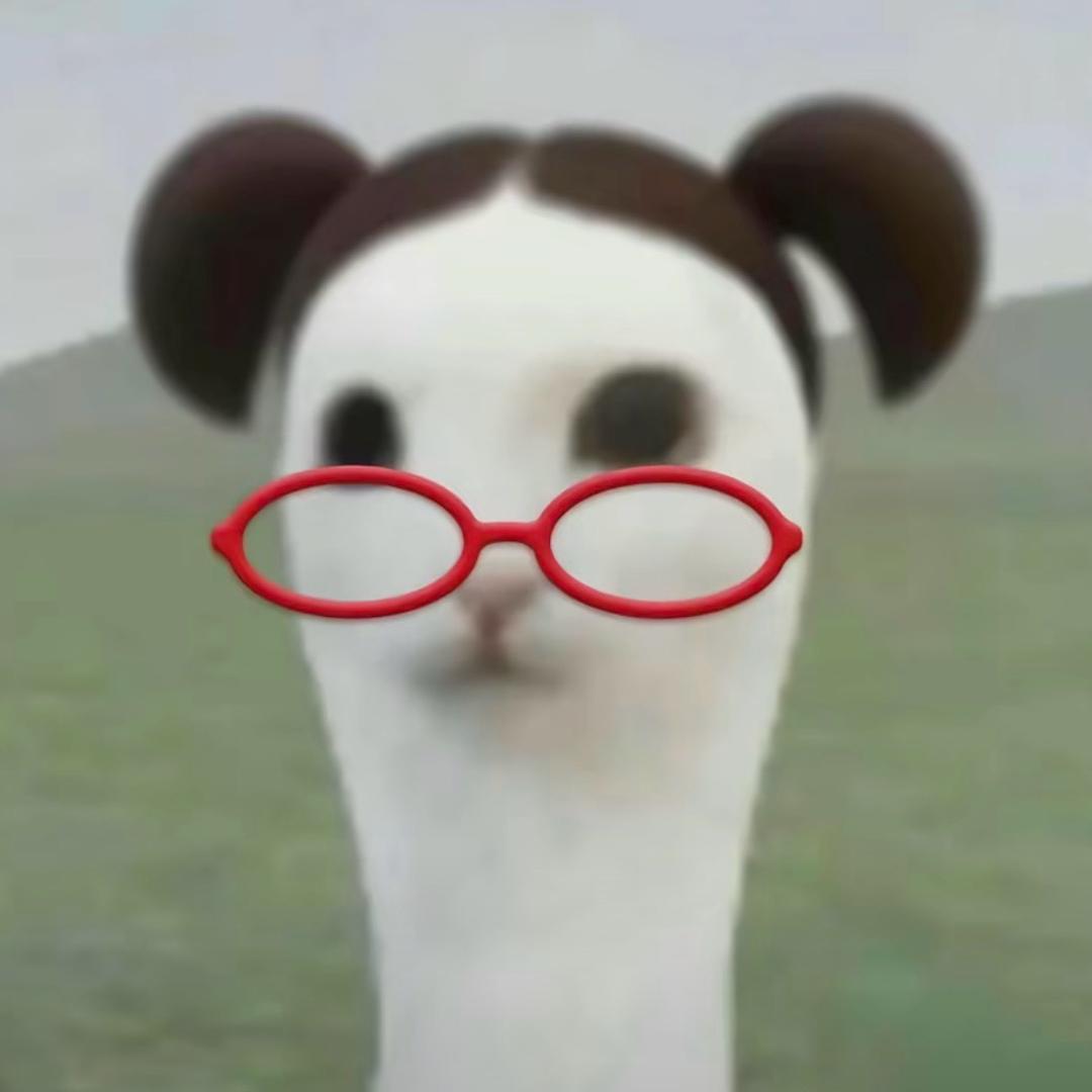 什么关系