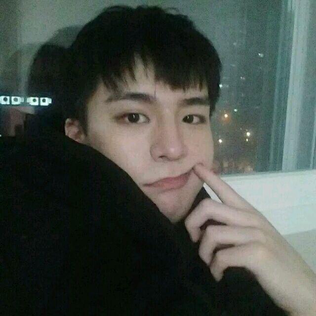 蓝鲸龙咪🐳