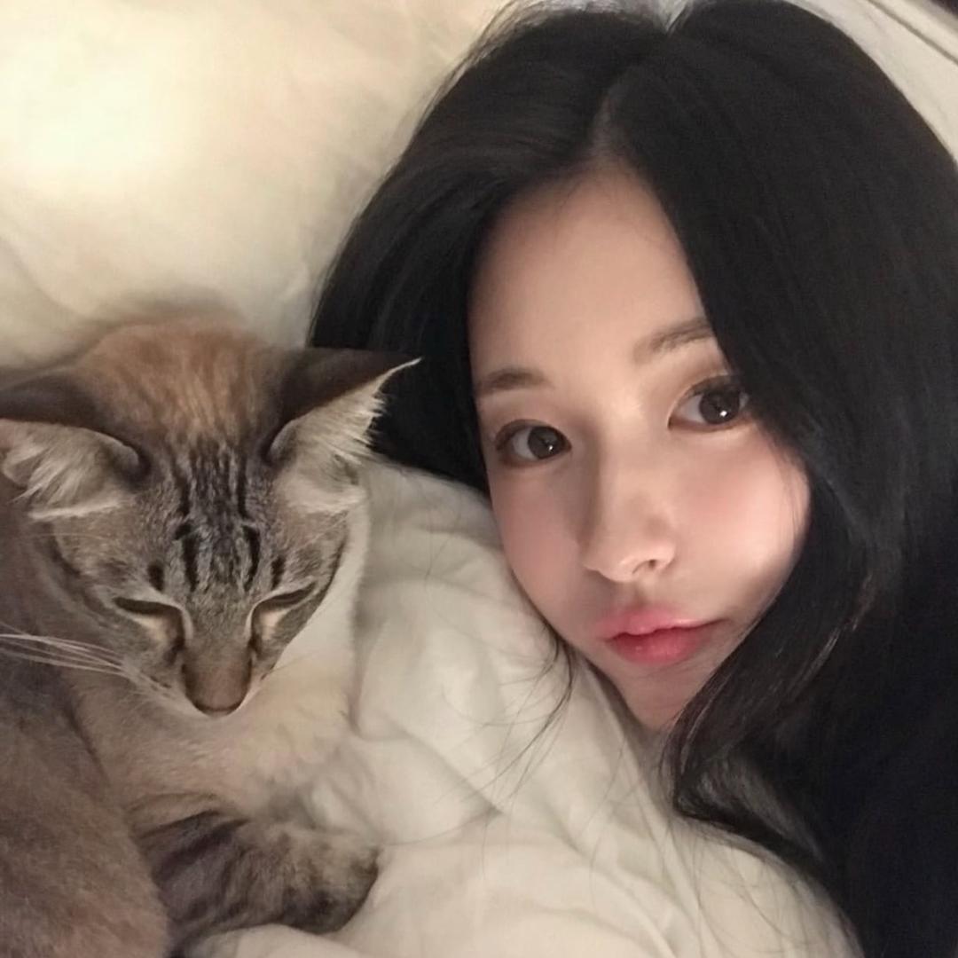 和人类无法沟通