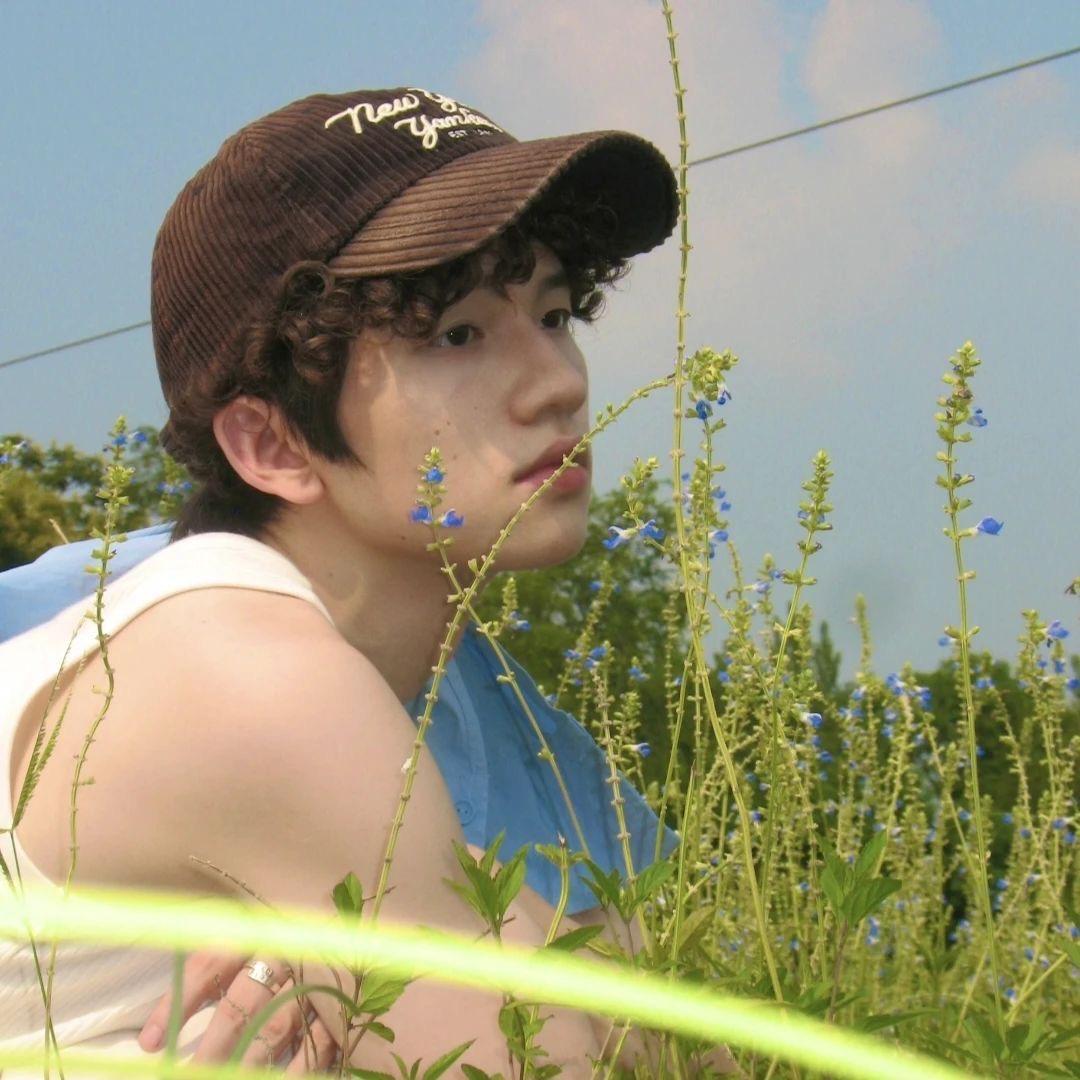 小D