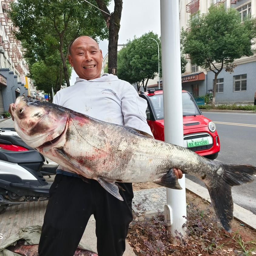 快乐一生