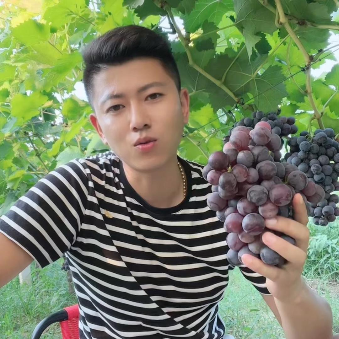 洛阳翠祥农业有限公司