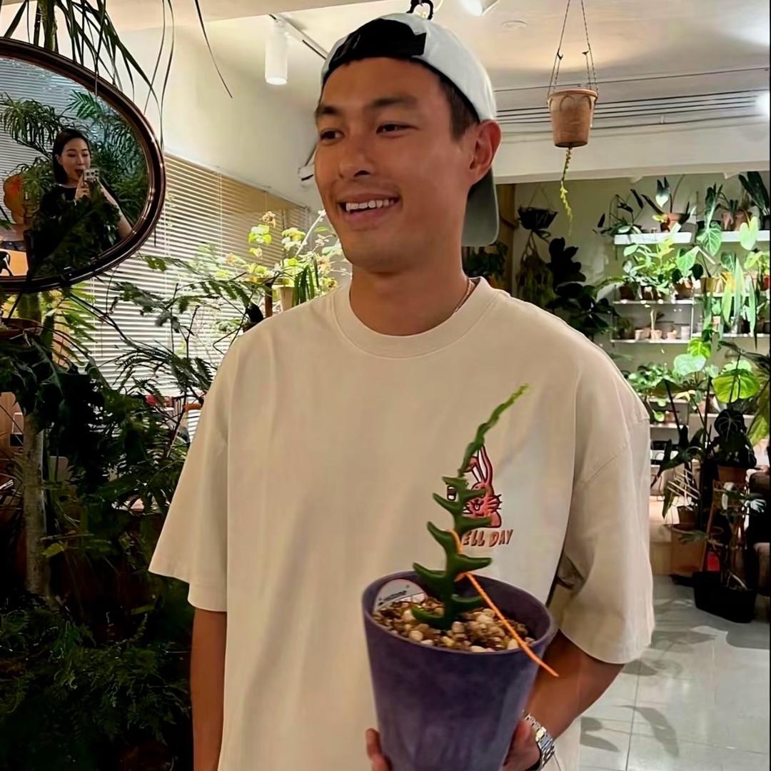 我不是豆腐脑