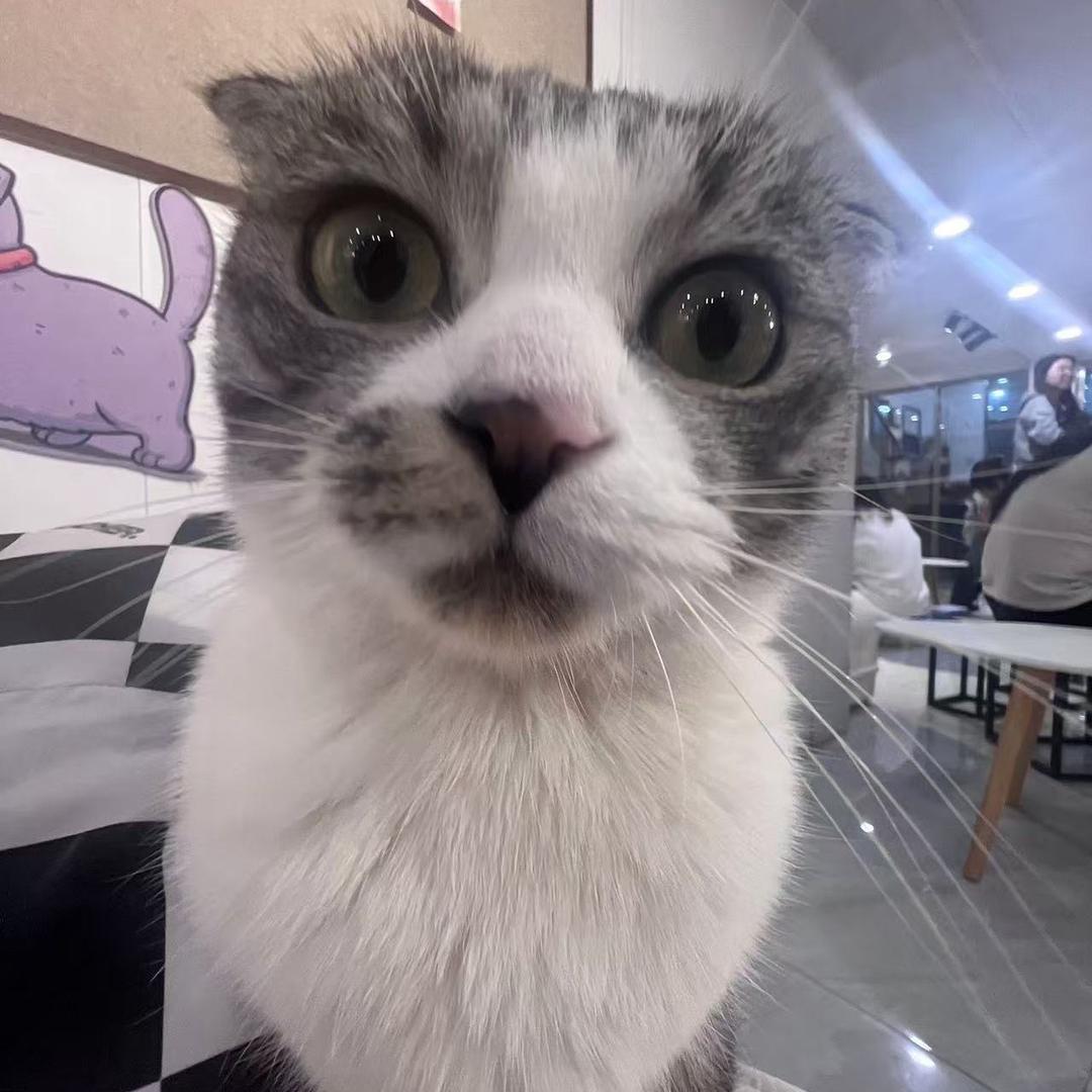 不爱上学