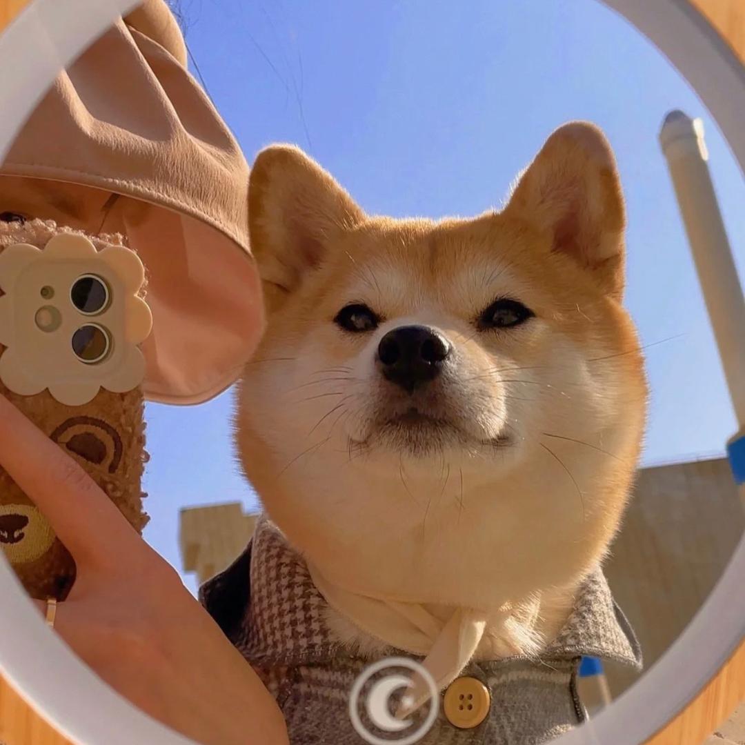 路人。