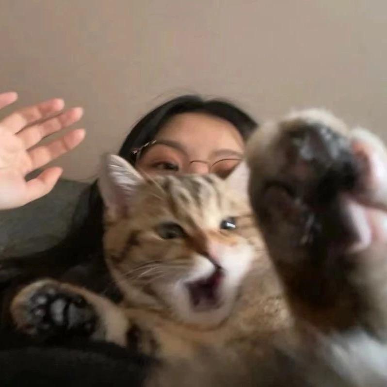 透.