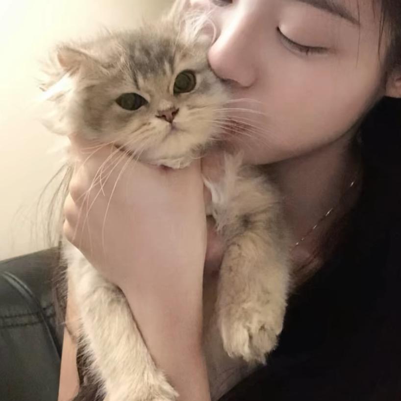 马朋
