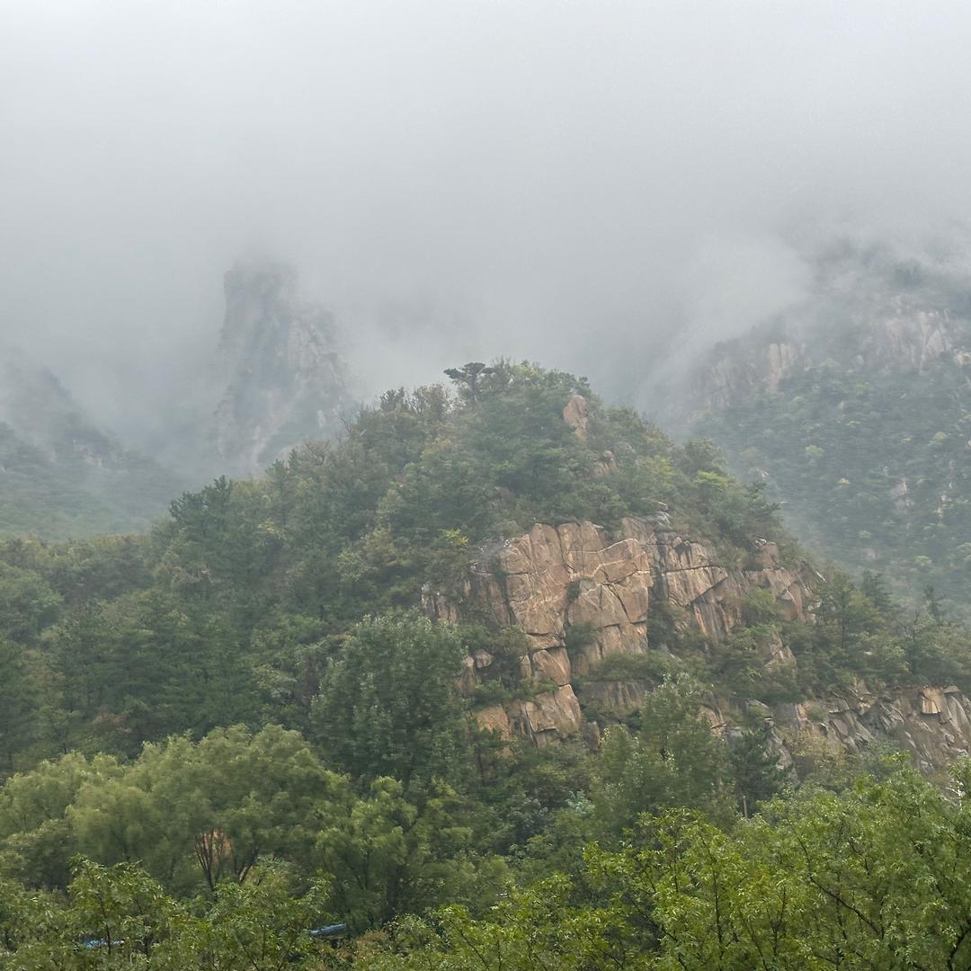 青山