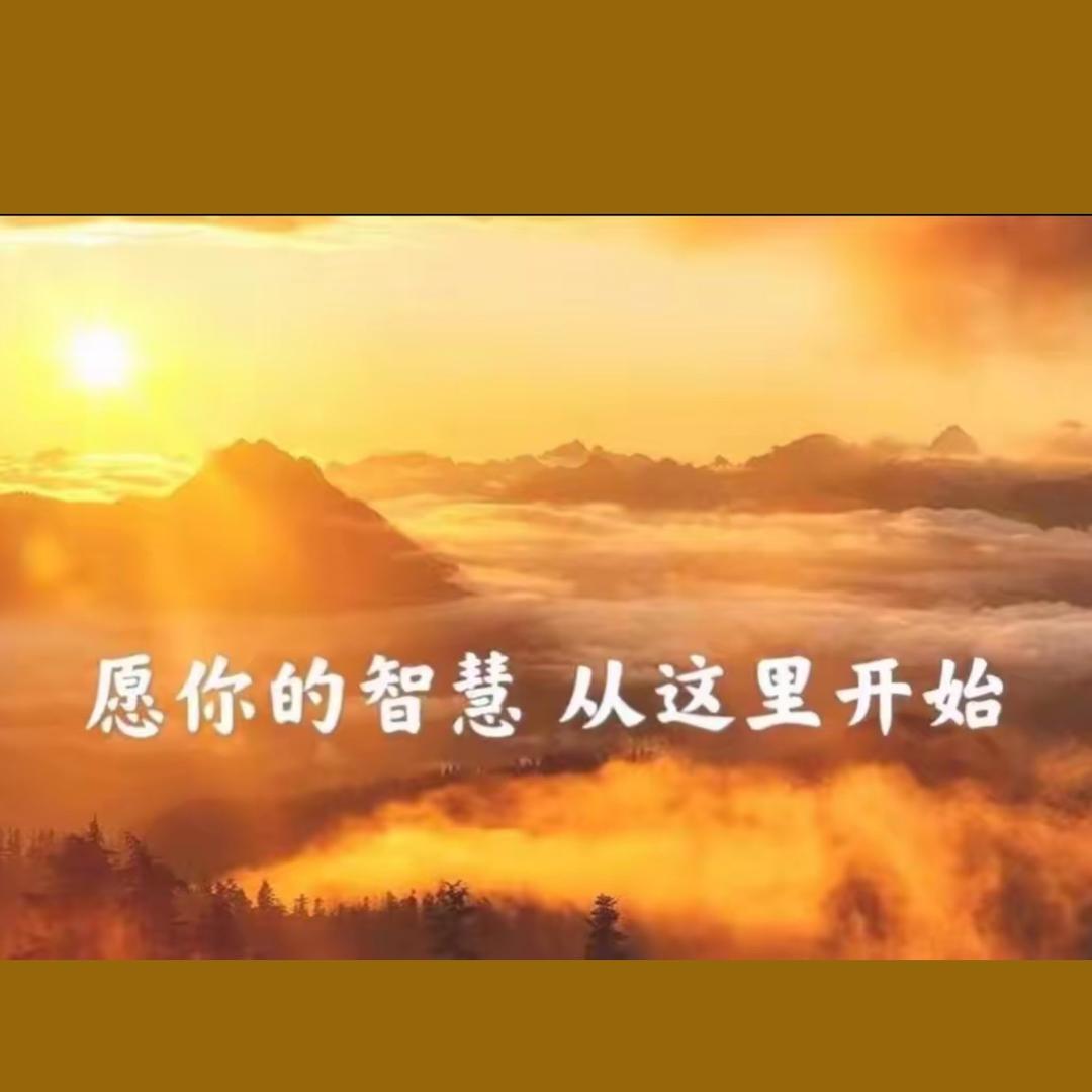 美少妇