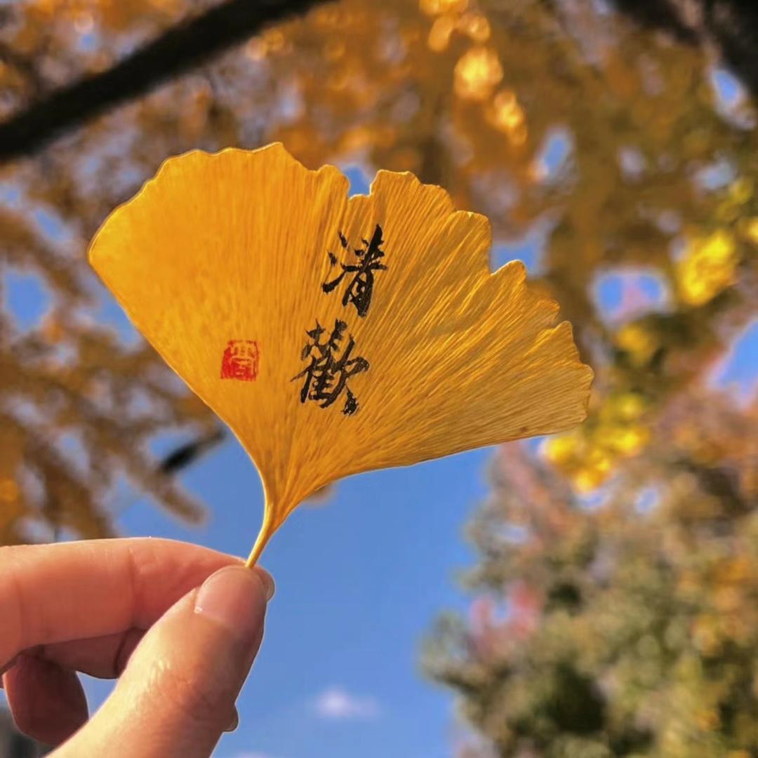 瑶瑶会生活