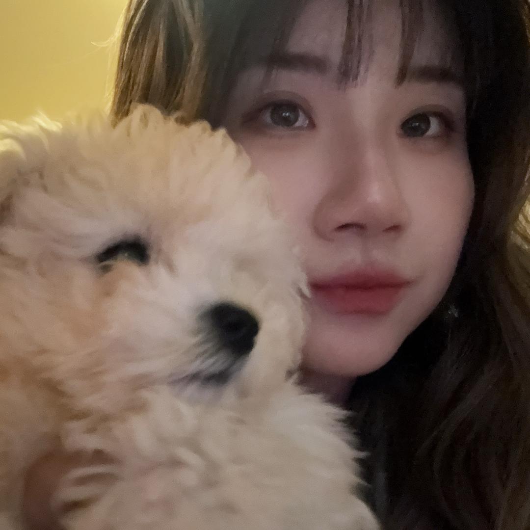 刘布丁是只小猪
