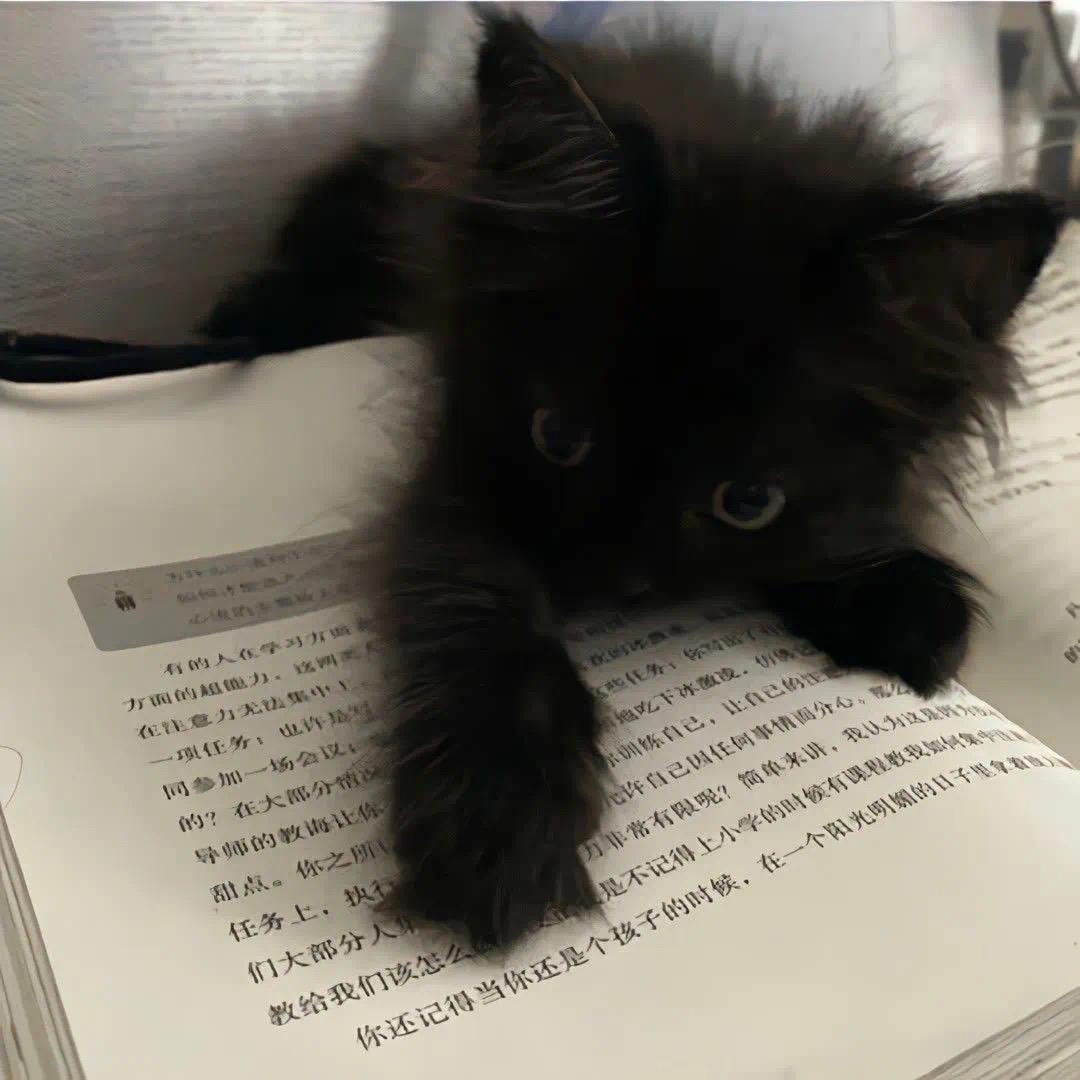 你一直在就好了