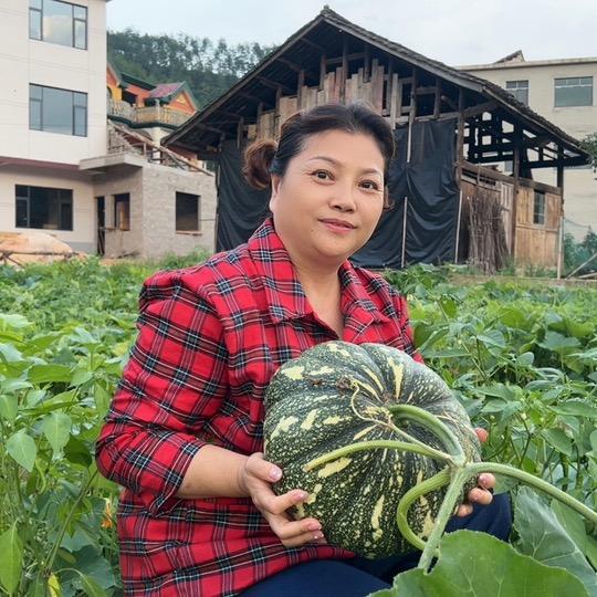 山城南瓜姐