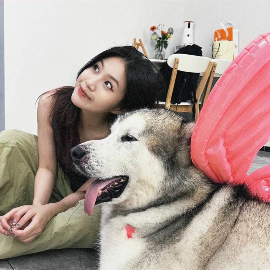 钮钴禄·睡觉 🧸