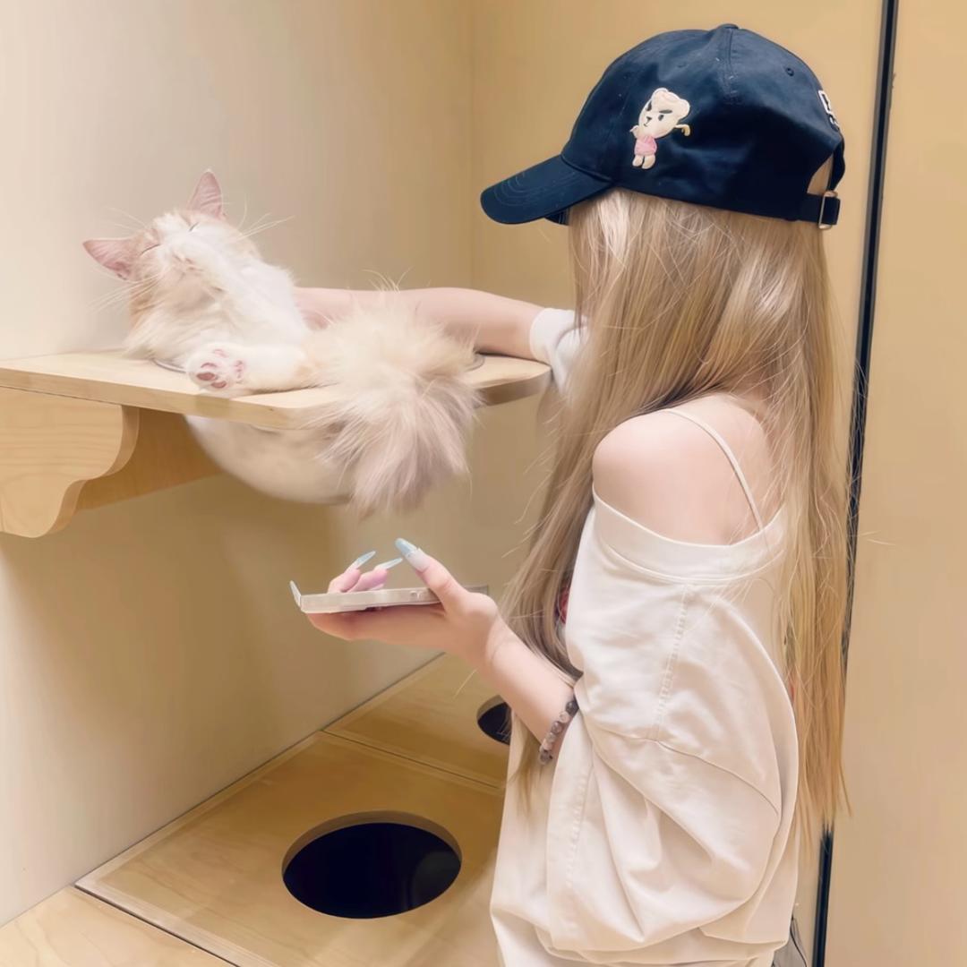 🧊