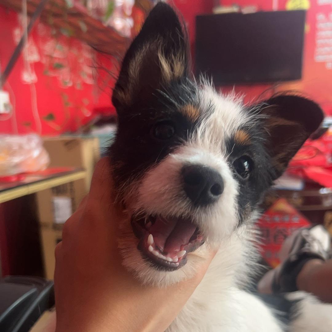 终