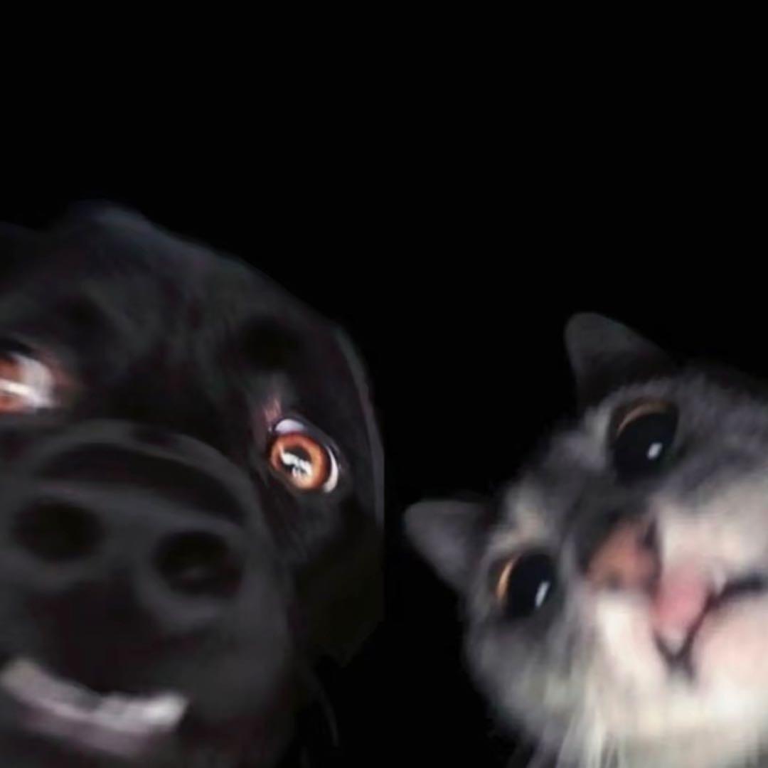-Z-