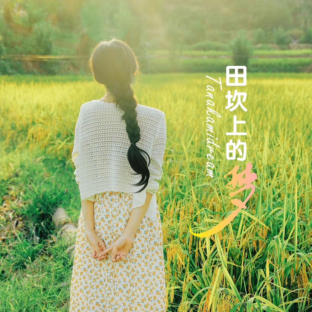 田坎上的梦༊゜