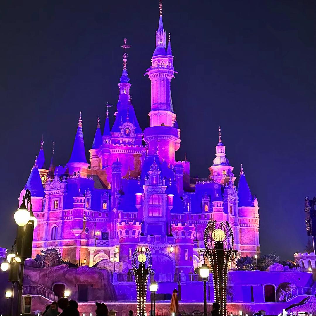 上迪～VIP服务管家