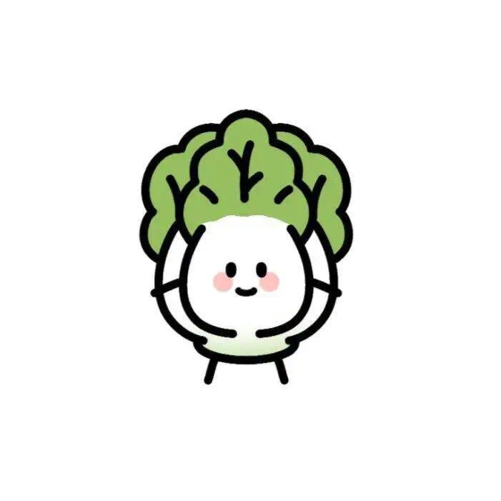 小白菜🥬