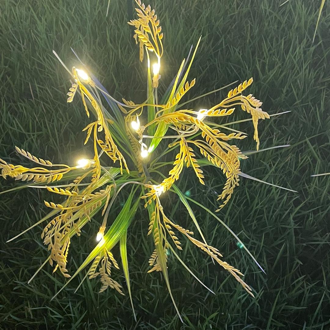 ㅤㅤ︃ㅤ︃︅︄︃