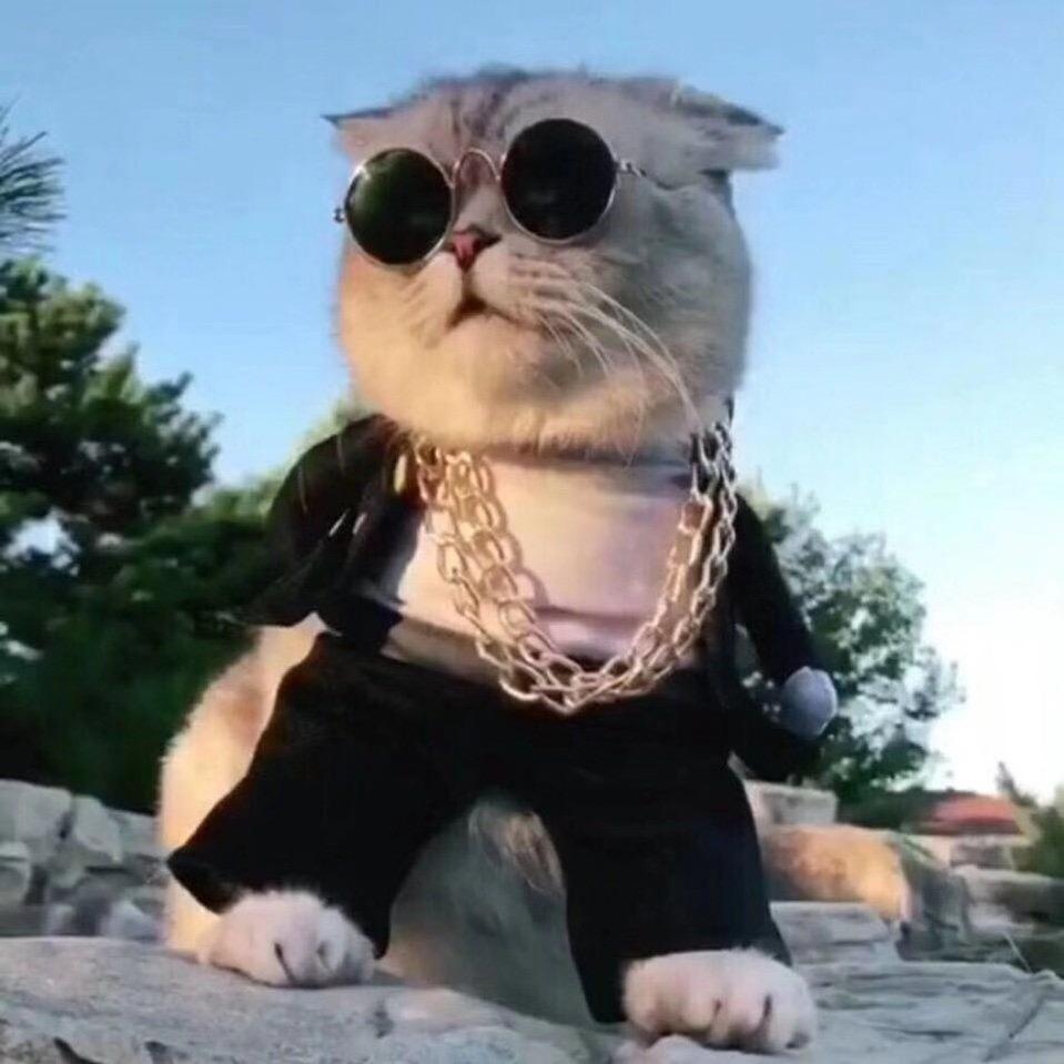 H，