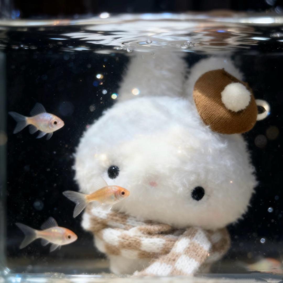小鱼不吃鱼