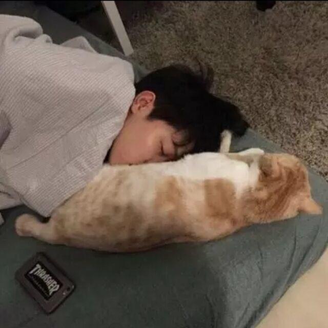 浅