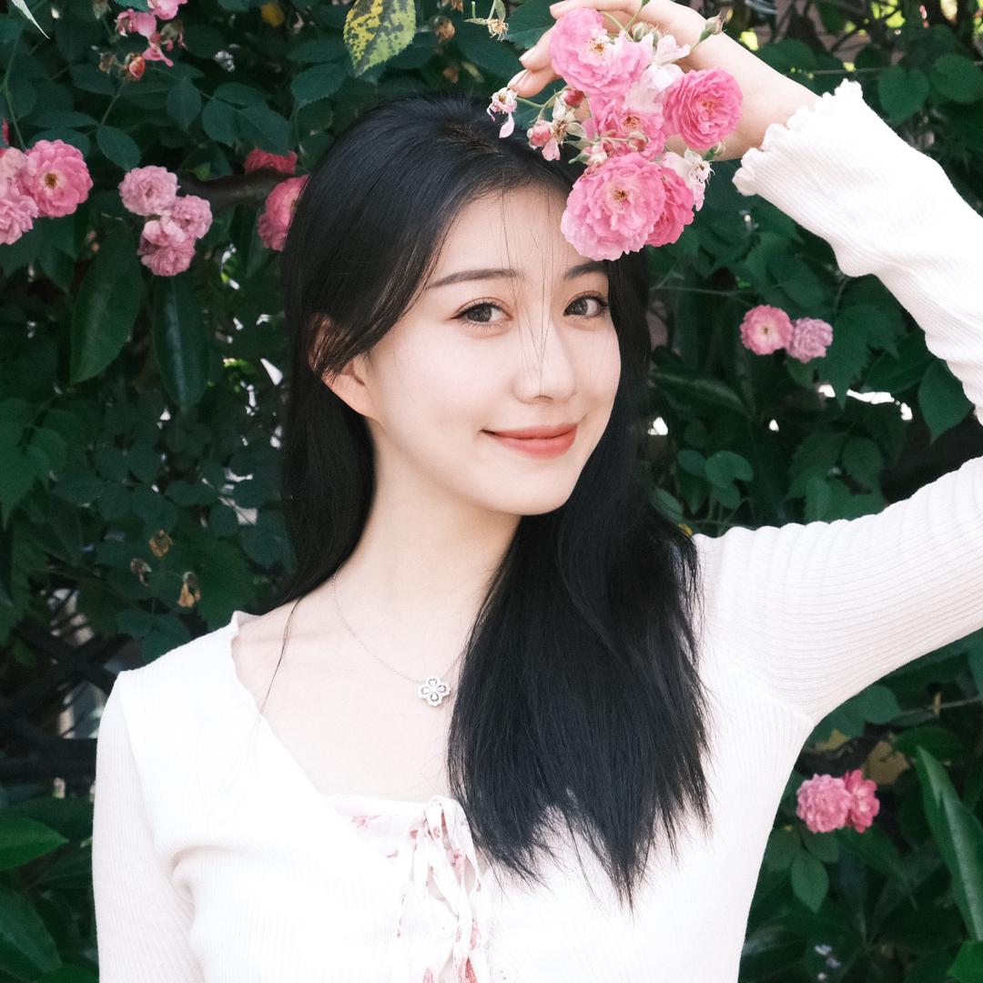桂圆圆圆