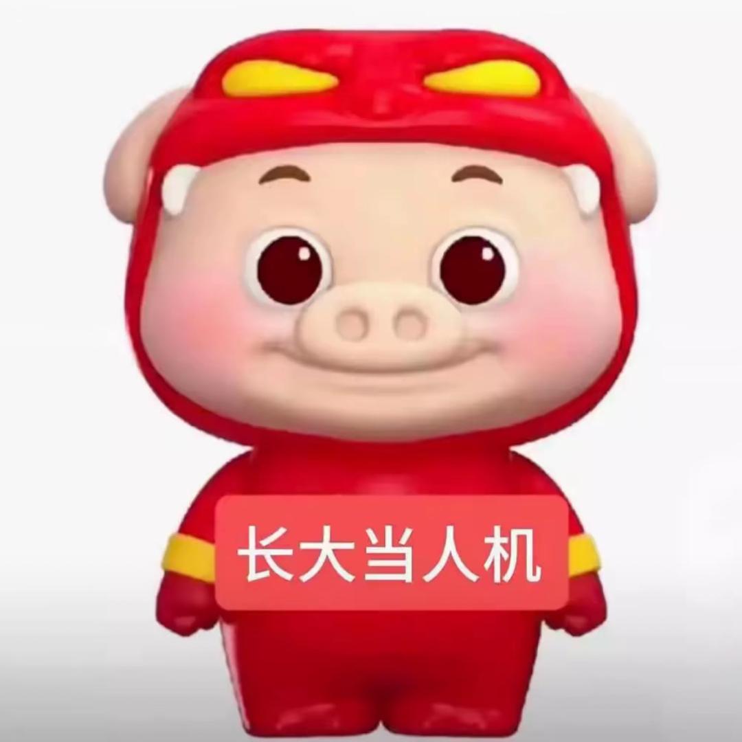 一颗小石头