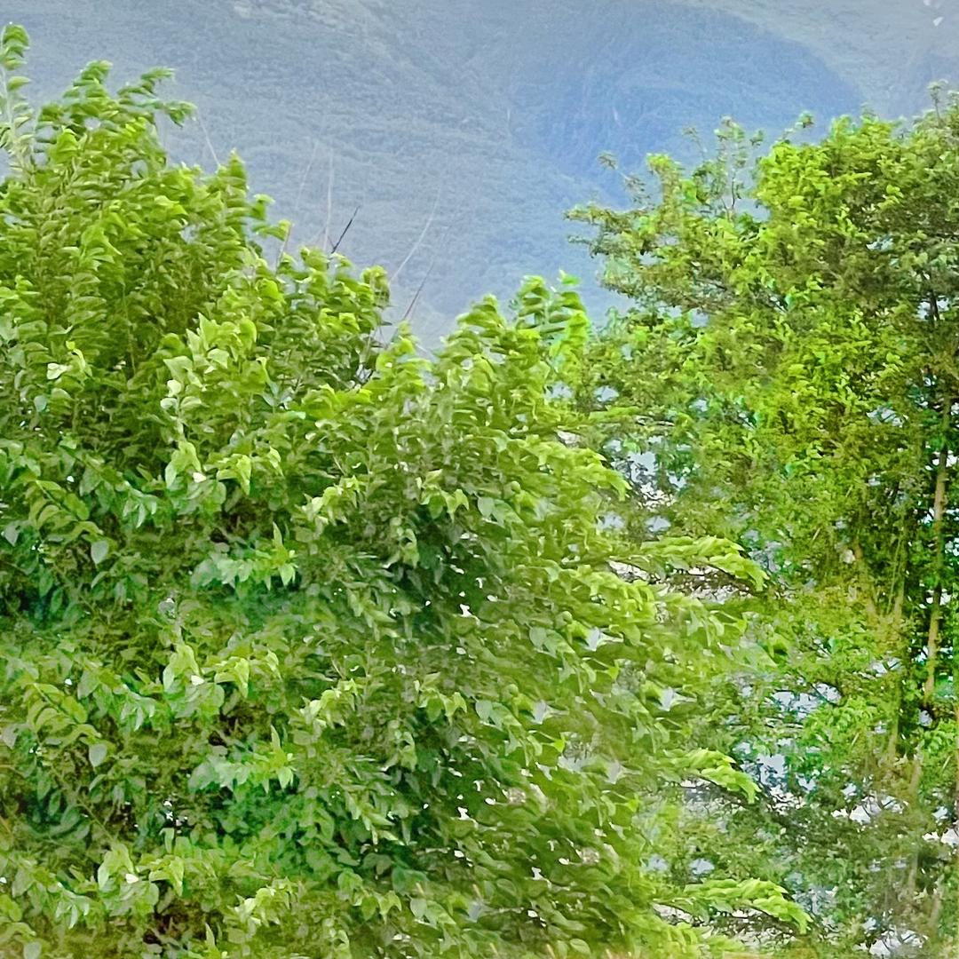 钰沁169