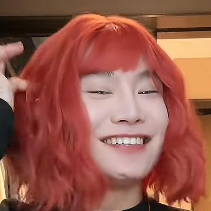 毛毛姐和多余日常生活