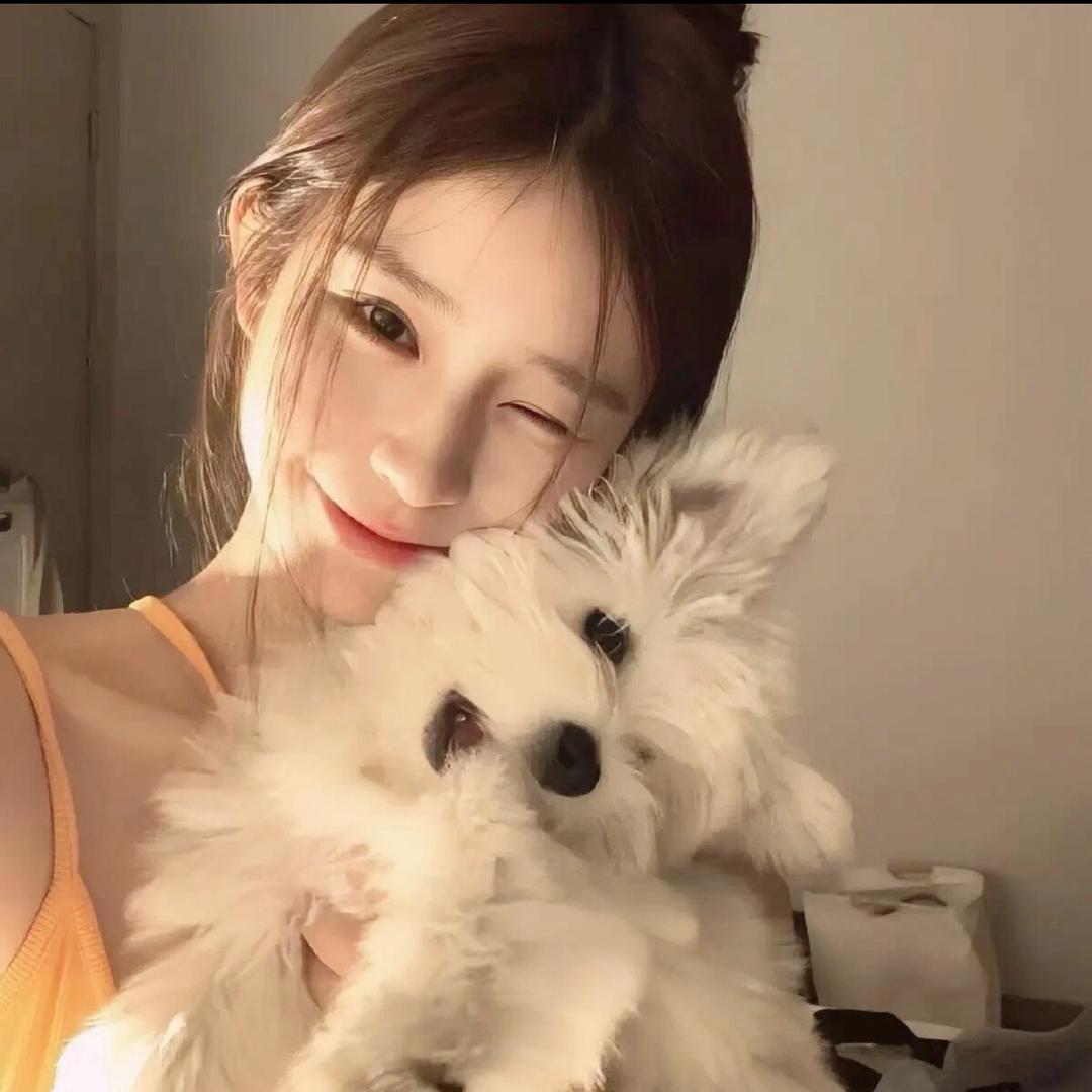 懒猫