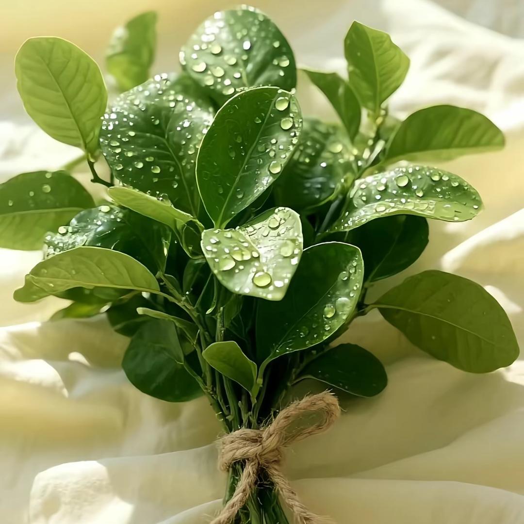 虎子吃啥都来一口