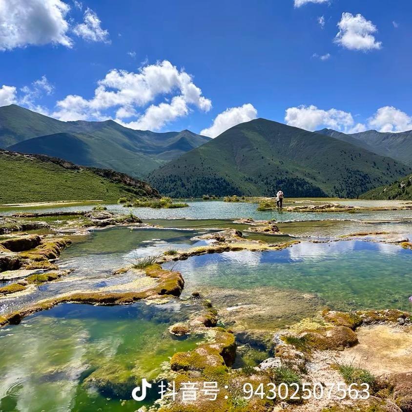 忘了说再见
