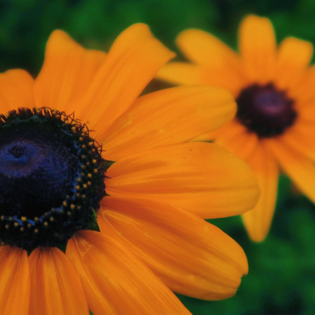 克斯维尔的明天hhhh📷