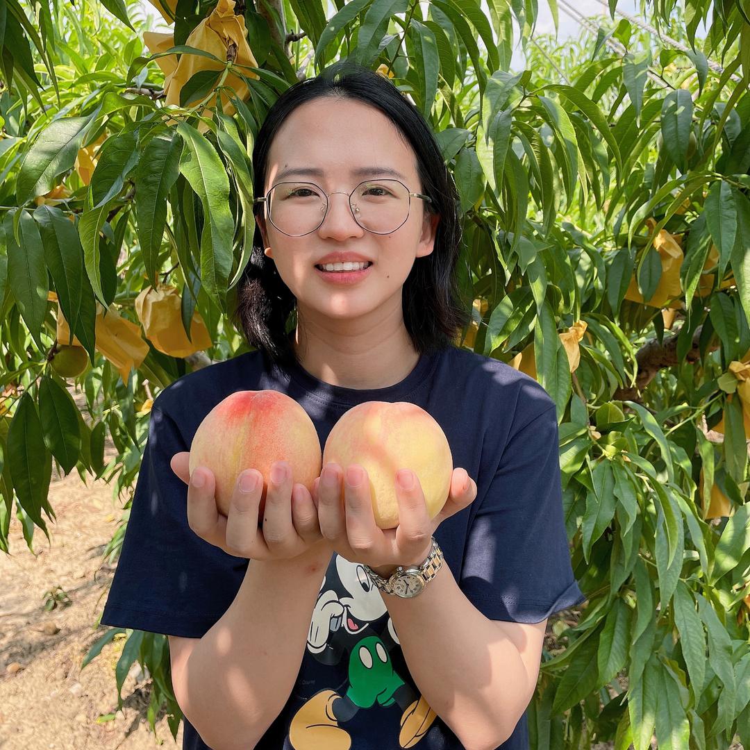 王小妹东山白玉枇杷