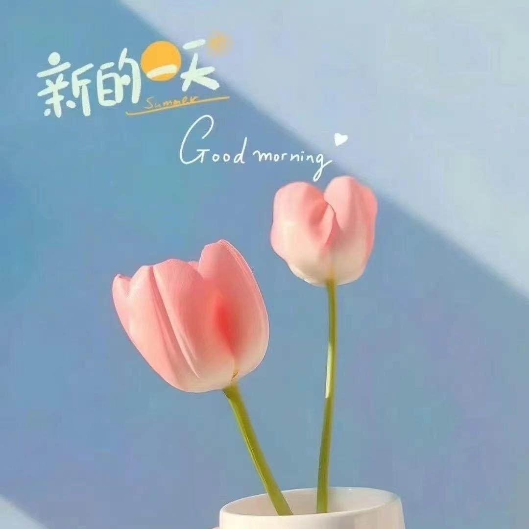 风起