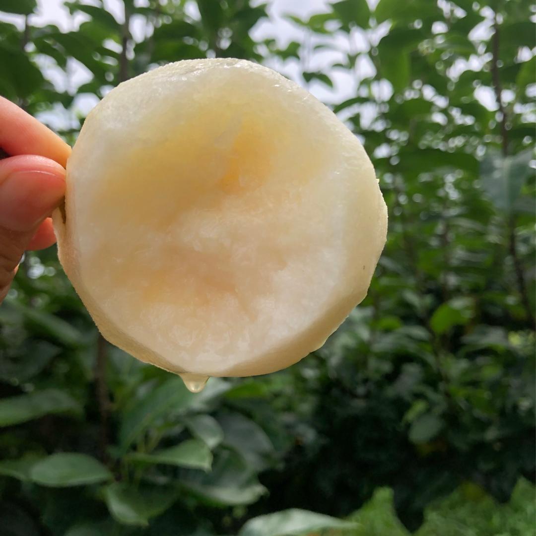 浪游大叔一粤连农场