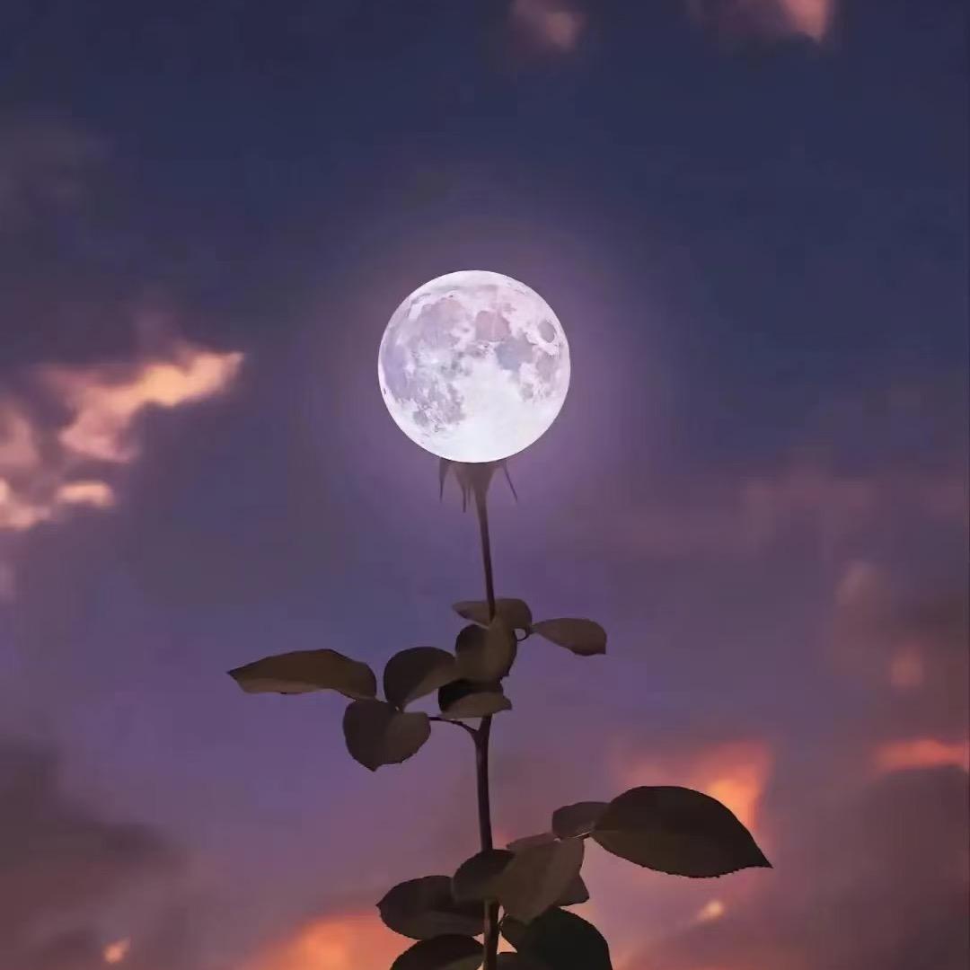 💋ꦿ 魏小乖 ꧔ꦿ᭄࿐ᩚ