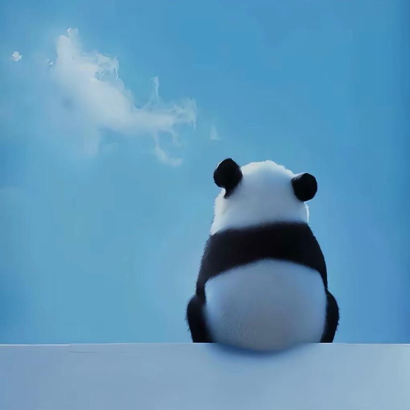 谈情不如逗狗
