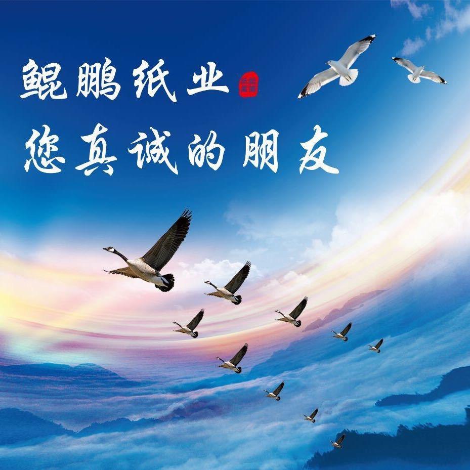 鲲鹏纸业