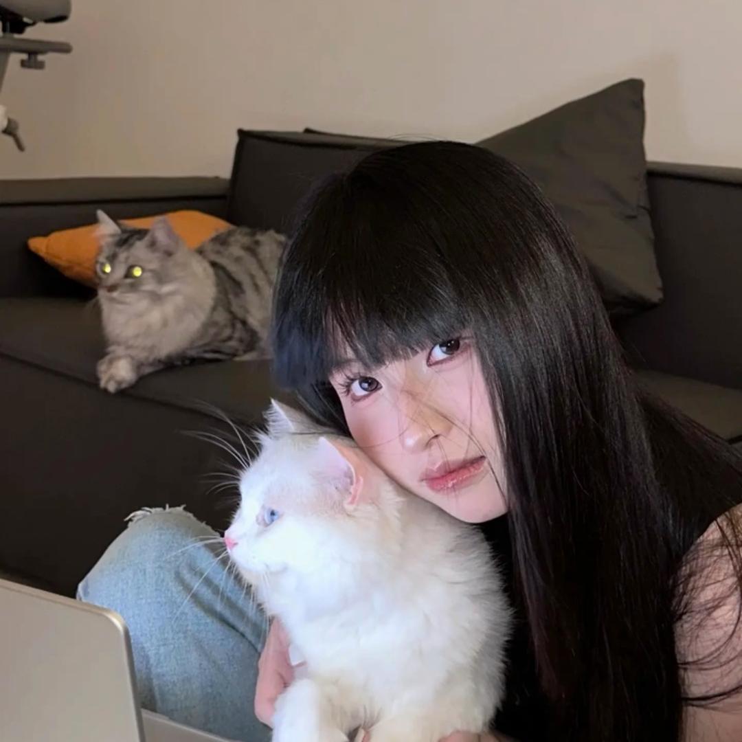 轩鹤