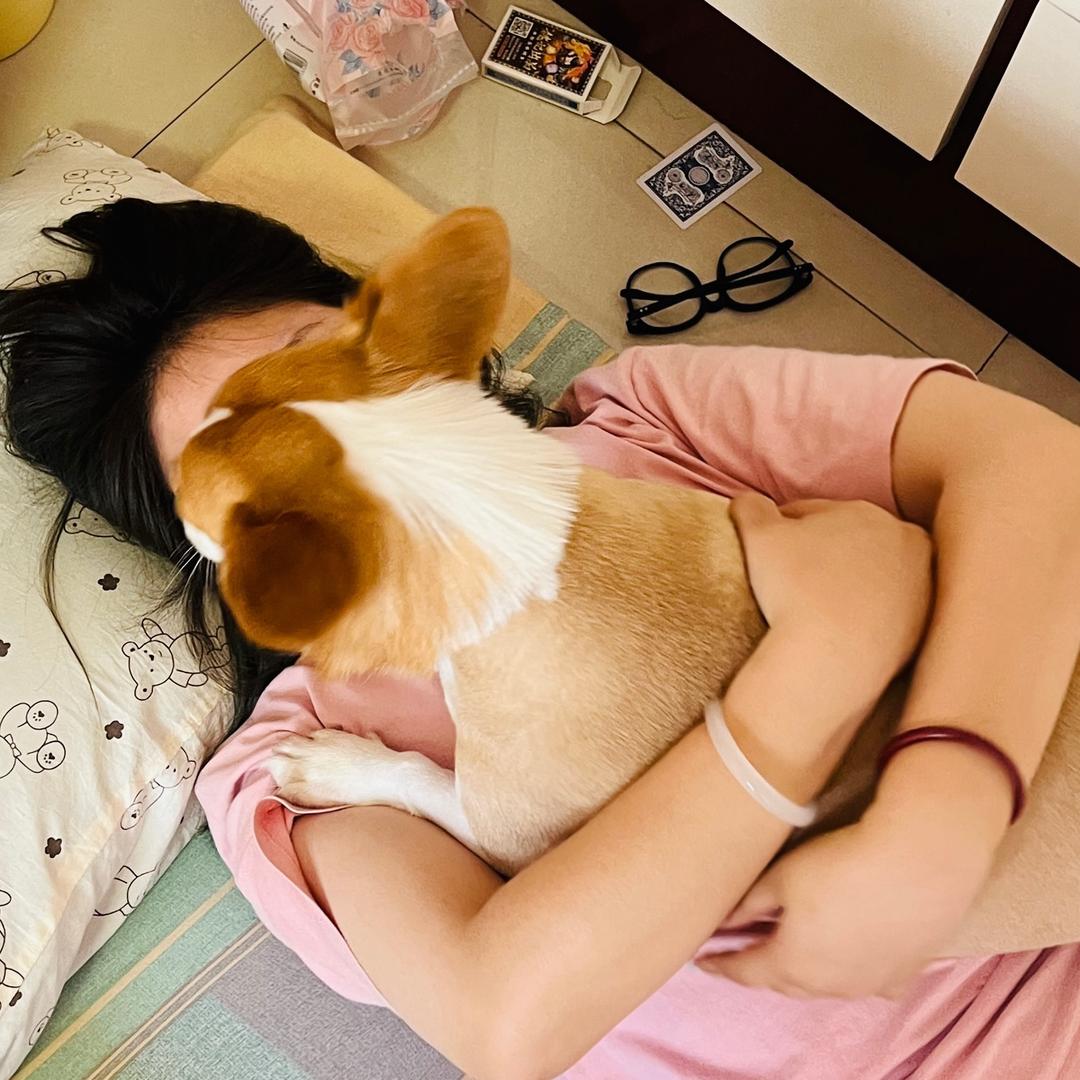 扁桃体永不发言7
